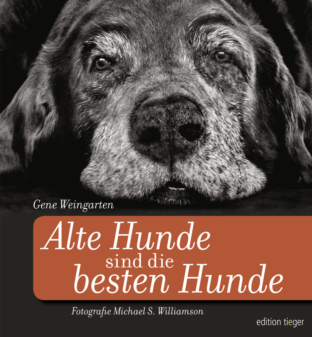 edition tieger: Alte Hunde sind die besten Hunde